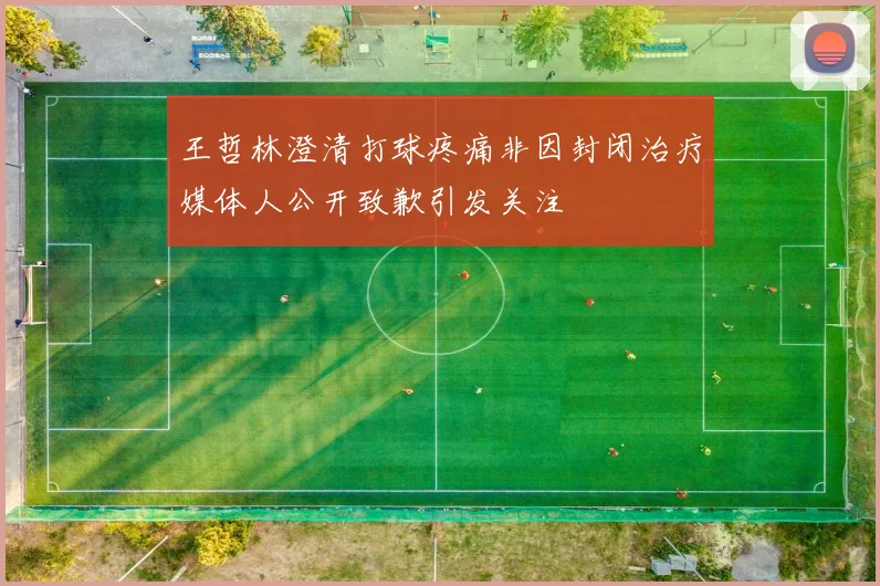 王哲林澄清打球疼痛非因封闭治疗媒体人公开致歉引发关注